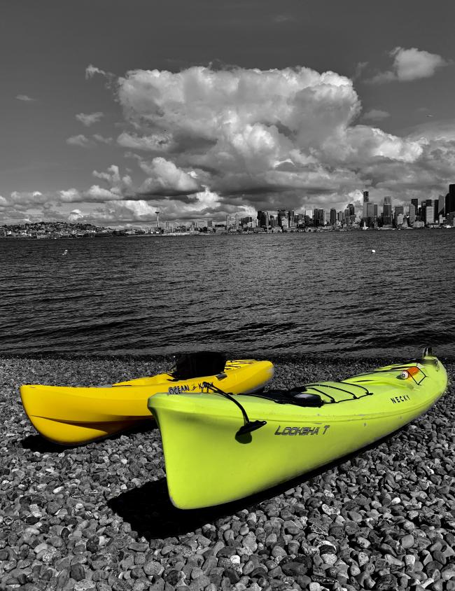 Get your paddle on! Alki Kayak Tours named as a Phase One reopening